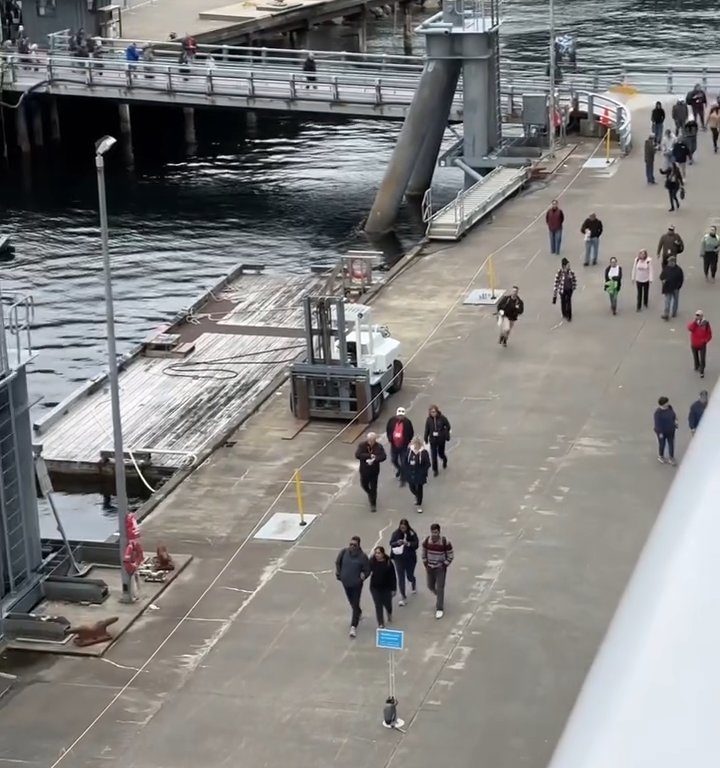 Turista perde la nave da crociera ma il finale è esilarante: video virale