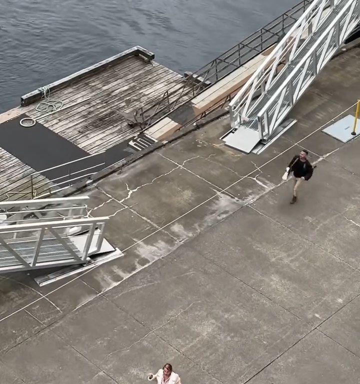 Turista perde la nave da crociera ma il finale è esilarante: video virale