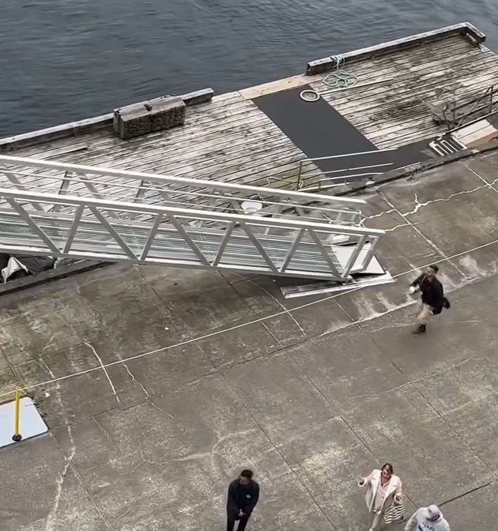 Turista perde la nave da crociera ma il finale è esilarante: video virale