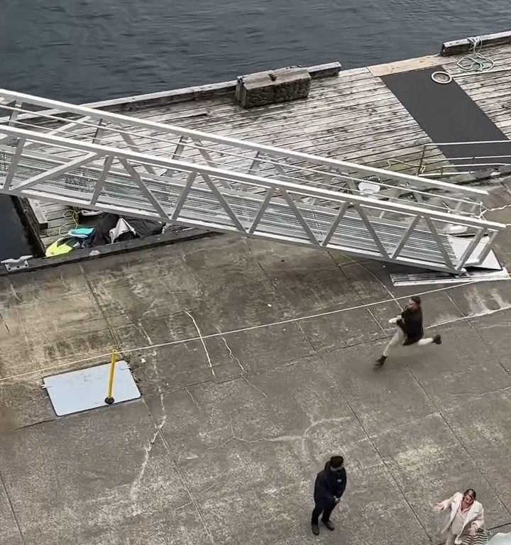 Turista perde la nave da crociera ma il finale è esilarante: video virale