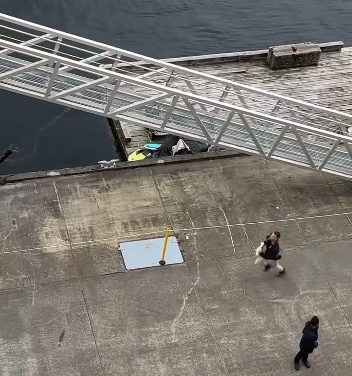 Turista perde la nave da crociera ma il finale è esilarante: video virale