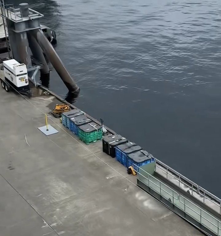 Turista perde la nave da crociera ma il finale è esilarante: video virale