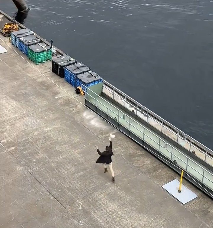 Turista perde la nave da crociera ma il finale è esilarante: video virale