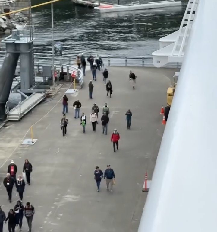 Turista perde la nave da crociera ma il finale è esilarante: video virale