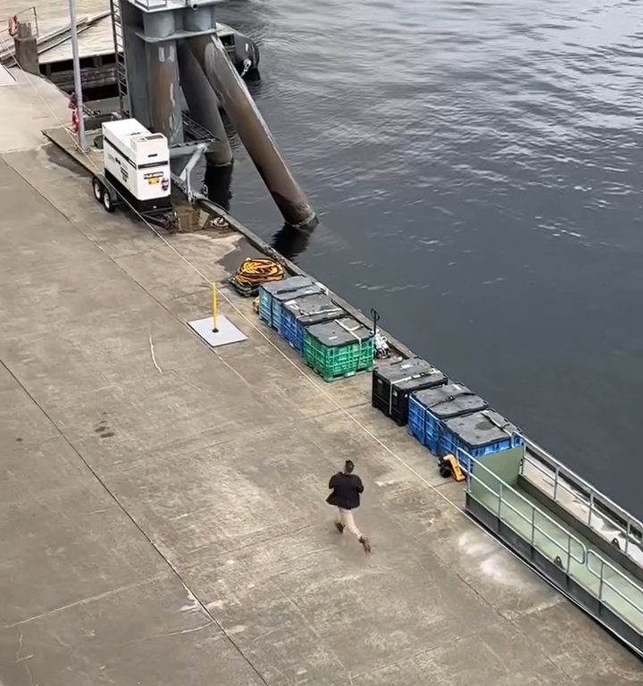 Turista perde la nave da crociera ma il finale è esilarante: video virale