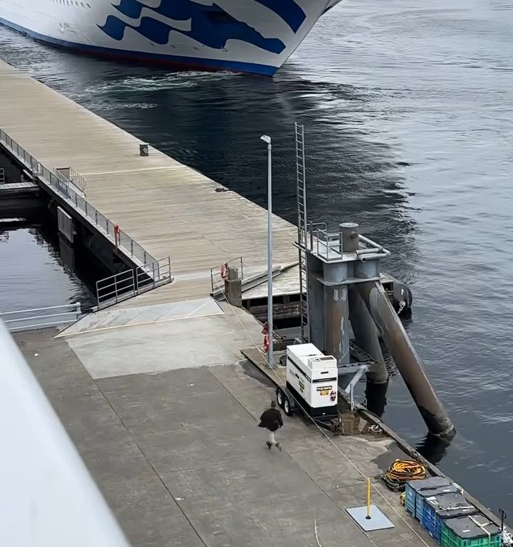 Turista perde la nave da crociera ma il finale è esilarante: video virale