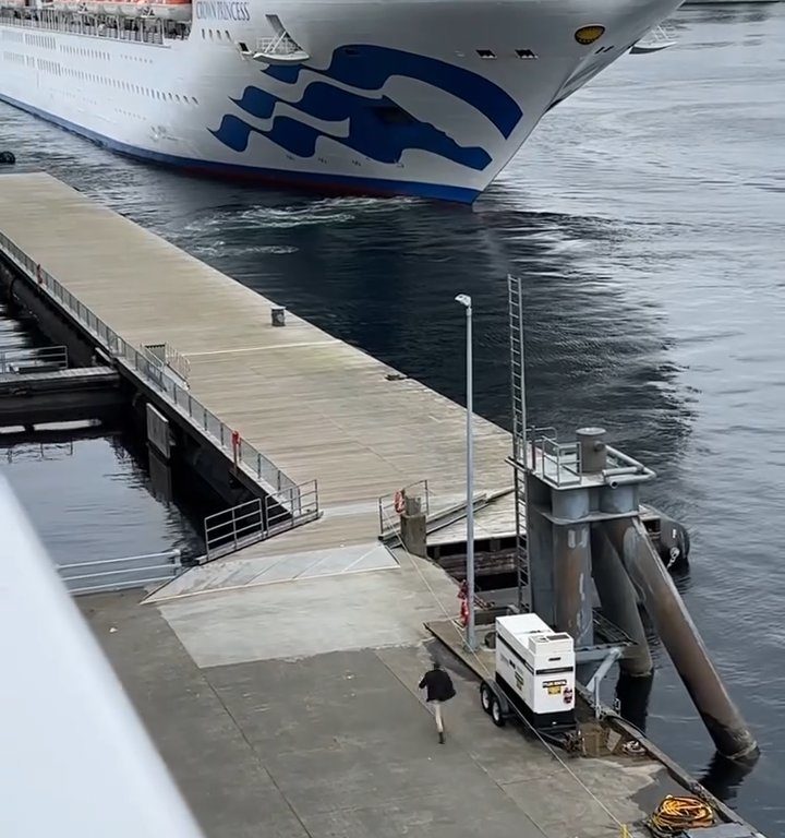 Turista perde la nave da crociera ma il finale è esilarante: video virale