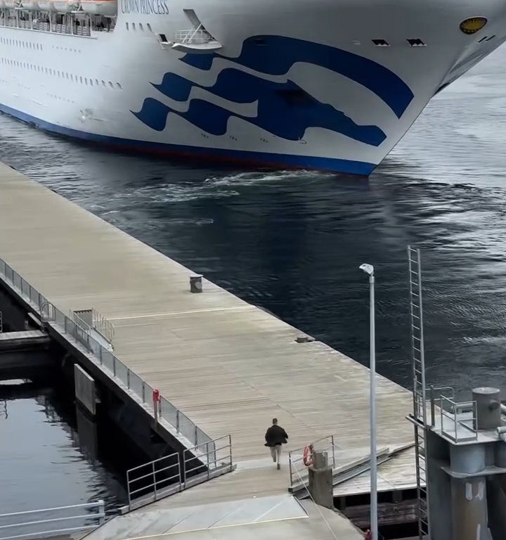 Turista perde la nave da crociera ma il finale è esilarante: video virale