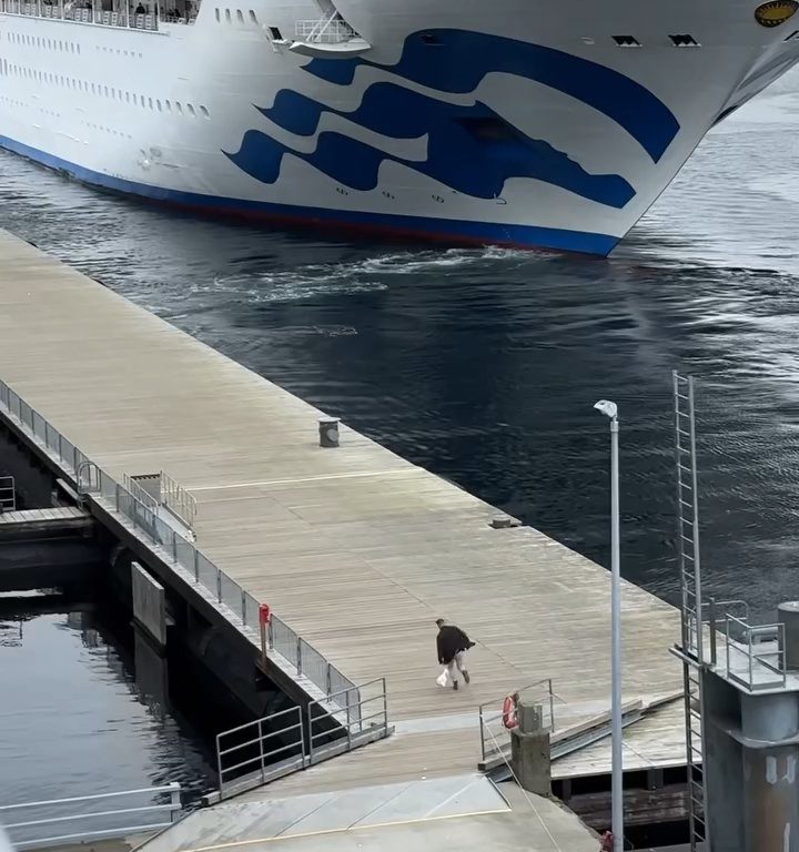 Turista perde la nave da crociera ma il finale è esilarante: video virale