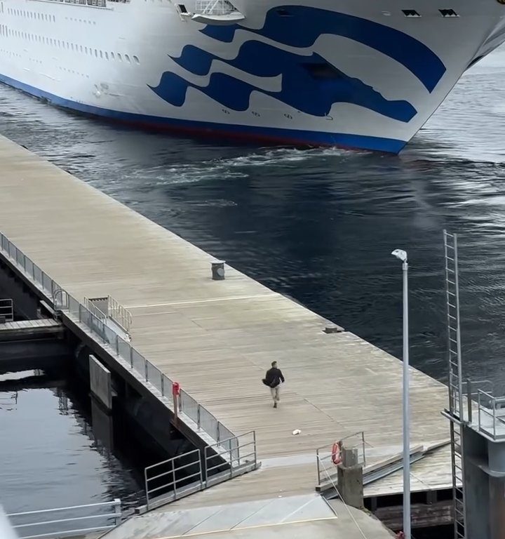 Turista perde la nave da crociera ma il finale è esilarante: video virale