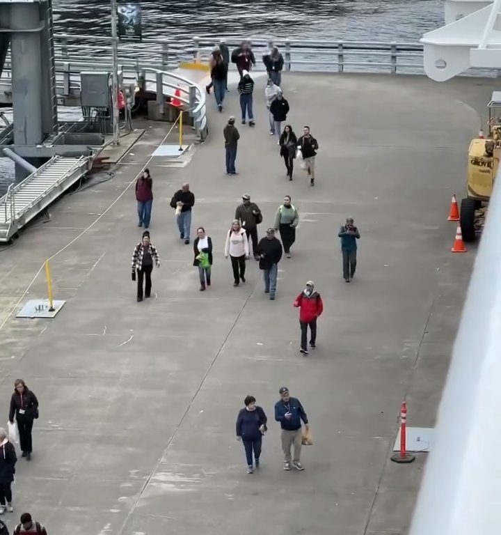 Turista perde la nave da crociera ma il finale è esilarante: video virale