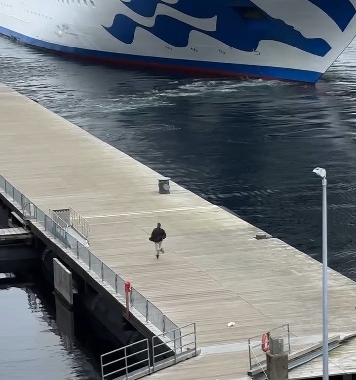 Turista perde la nave da crociera ma il finale è esilarante: video virale