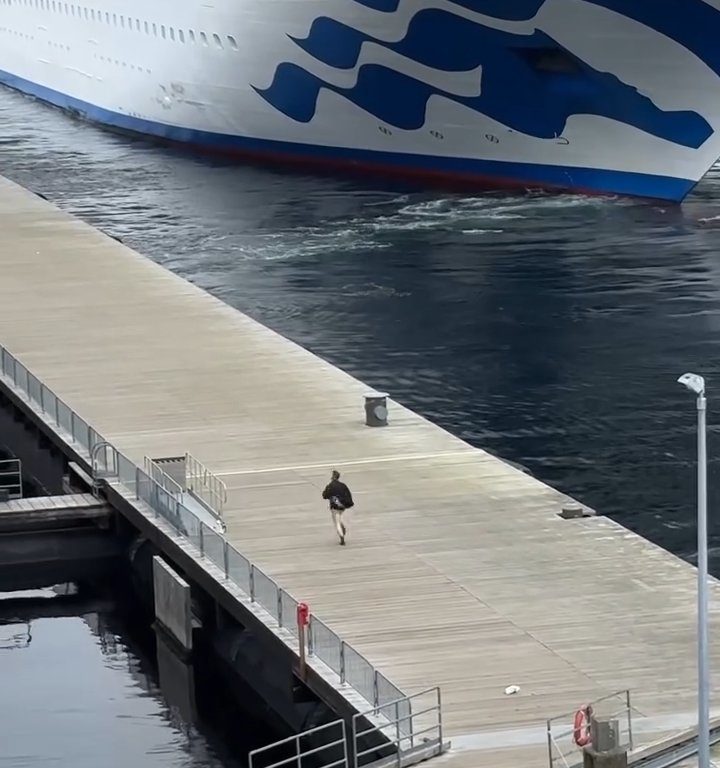 Turista perde la nave da crociera ma il finale è esilarante: video virale