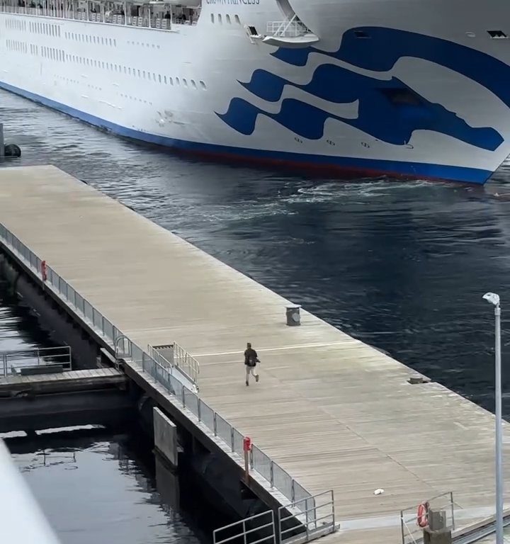 Turista perde la nave da crociera ma il finale è esilarante: video virale