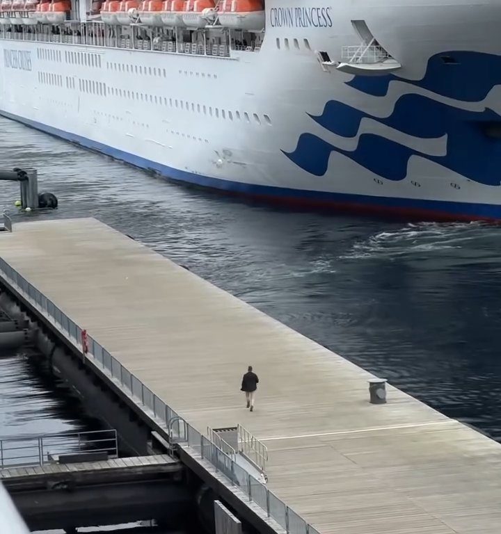 Turista perde la nave da crociera ma il finale è esilarante: video virale