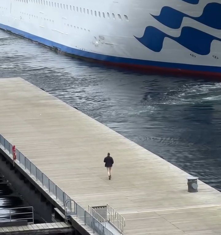 Turista perde la nave da crociera ma il finale è esilarante: video virale