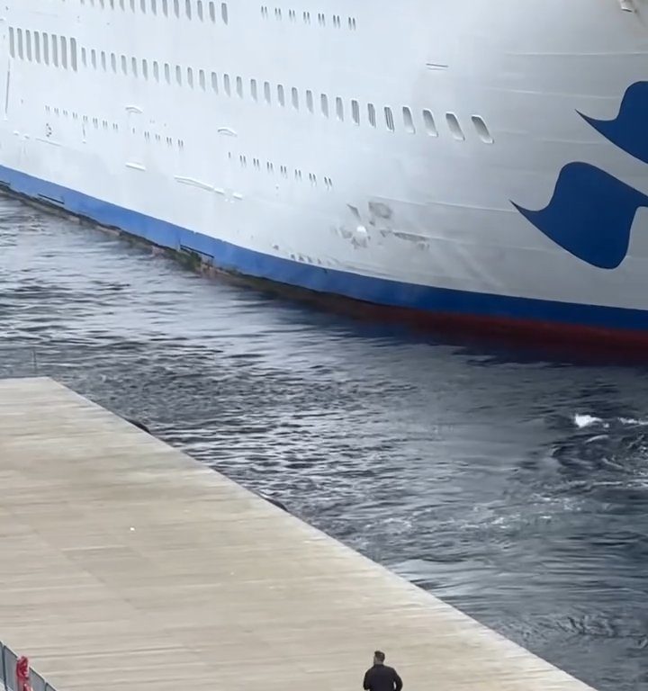 Turista perde la nave da crociera ma il finale è esilarante: video virale