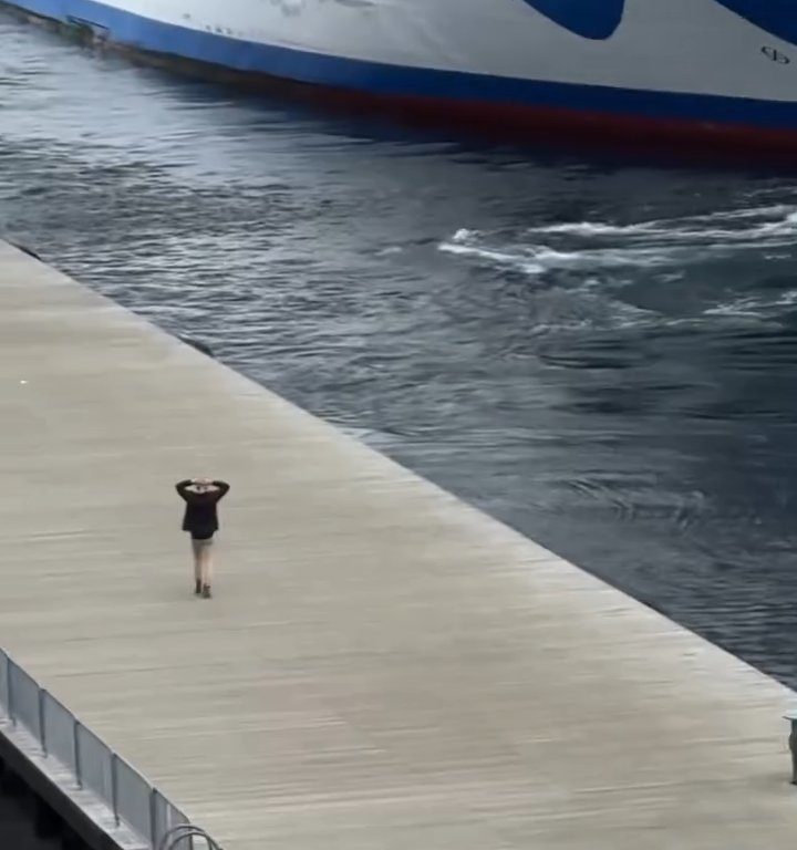 Turista perde la nave da crociera ma il finale è esilarante: video virale