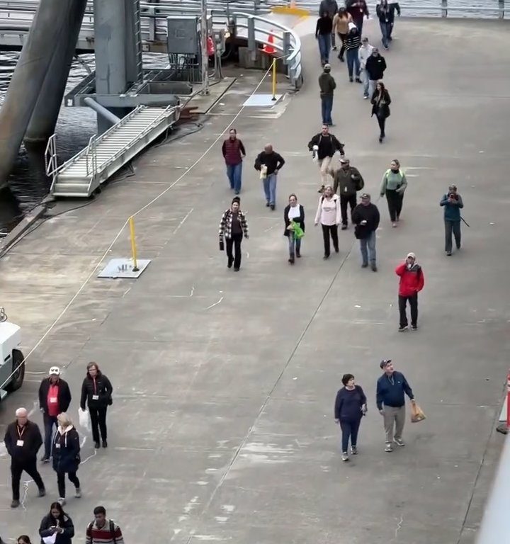 Turista perde la nave da crociera ma il finale è esilarante: video virale