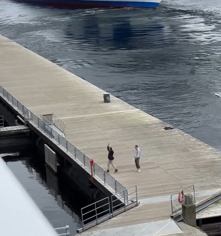 Turista perde la nave da crociera ma il finale è esilarante: video virale