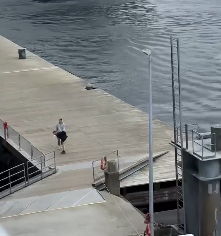 Turista perde la nave da crociera ma il finale è esilarante: video virale