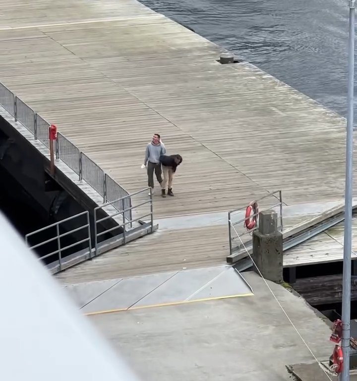 Turista perde la nave da crociera ma il finale è esilarante: video virale