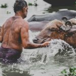 Il marito si lava una volta al mese: la moglie chiede il divorzio