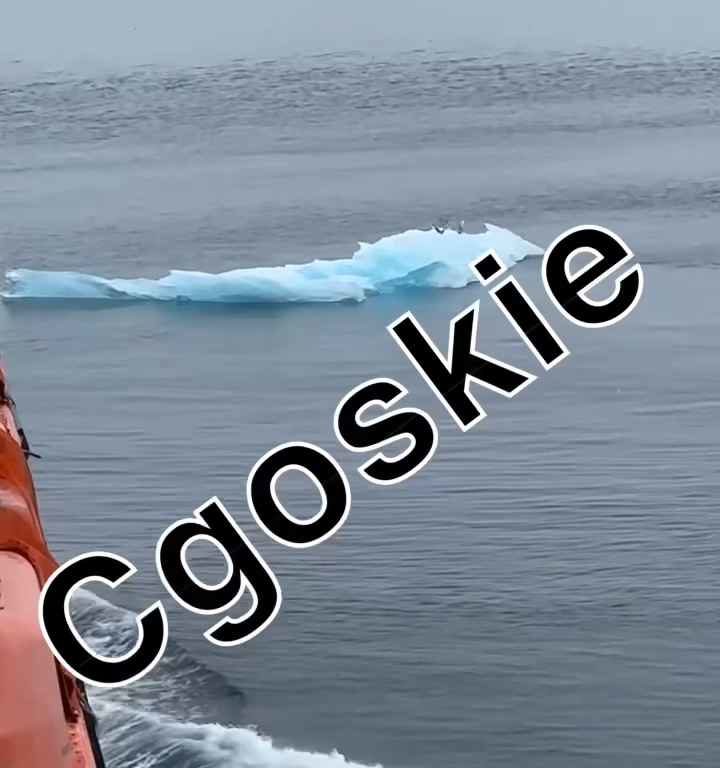 Riesgo de Titanic para crucero, iceberg contra casco: terror a bordo