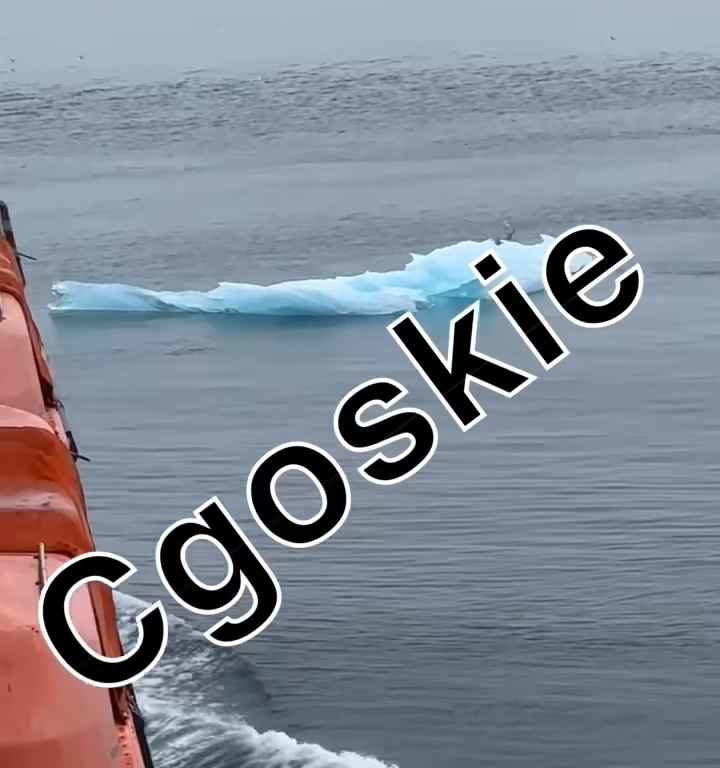 Riesgo de Titanic para crucero, iceberg contra casco: terror a bordo