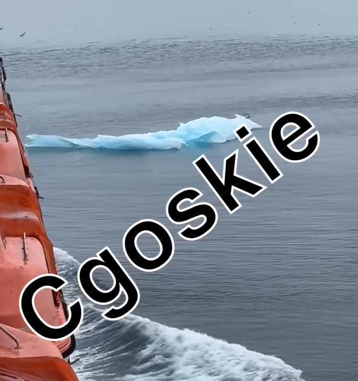 Riesgo de Titanic para crucero, iceberg contra casco: terror a bordo