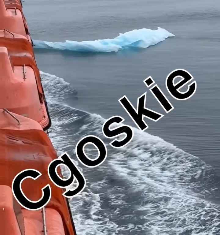 Riesgo de Titanic para crucero, iceberg contra casco: terror a bordo