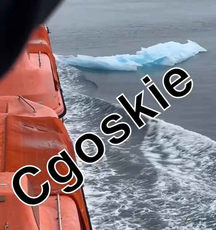 Riesgo de Titanic para crucero, iceberg contra casco: terror a bordo