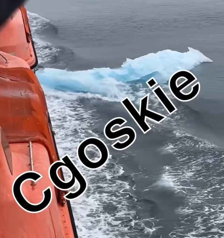 Riesgo de Titanic para crucero, iceberg contra casco: terror a bordo