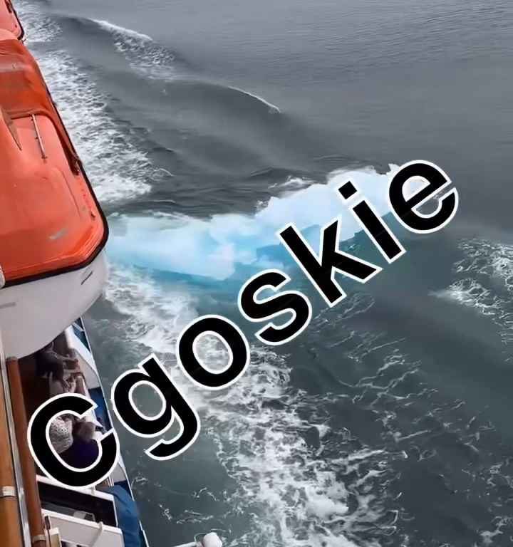 Riesgo de Titanic para crucero, iceberg contra casco: terror a bordo