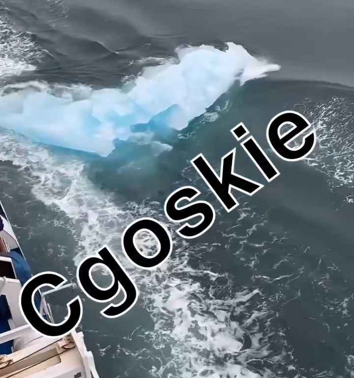 Riesgo de Titanic para crucero, iceberg contra casco: terror a bordo