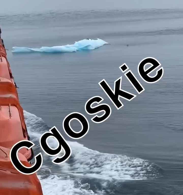 Riesgo de Titanic para crucero, iceberg contra casco: terror a bordo