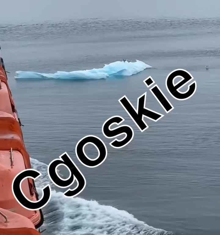 Riesgo de Titanic para crucero, iceberg contra casco: terror a bordo