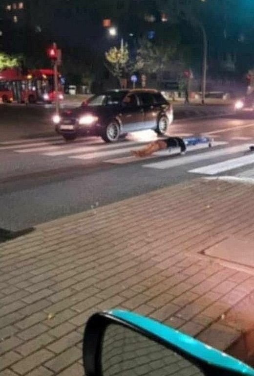 Coche fúnebre pierde a un hombre muerto en la carretera: casi sufre un accidente