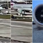 Avión "devora" carro de equipaje con motor: el accidente captado en vídeo