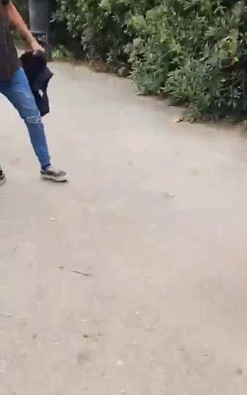 Bimba di un anno presa a schiaffi da un senzatetto immigrato in un parco video shock