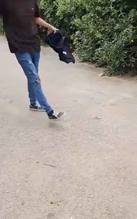 Bimba di un anno presa a schiaffi da un senzatetto immigrato in un parco video shock