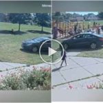 10-jähriger Junge stiehlt Auto und dringt in Spielplatz ein, verhaftet