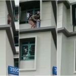 Un niño de dos años camina por una cornisa del tercer piso: un héroe lo salva