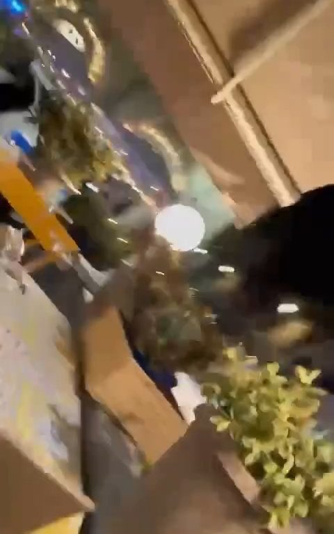 Catania, policías golpeados porque impusieron multas: vídeo de la paliza, ciudad en shock