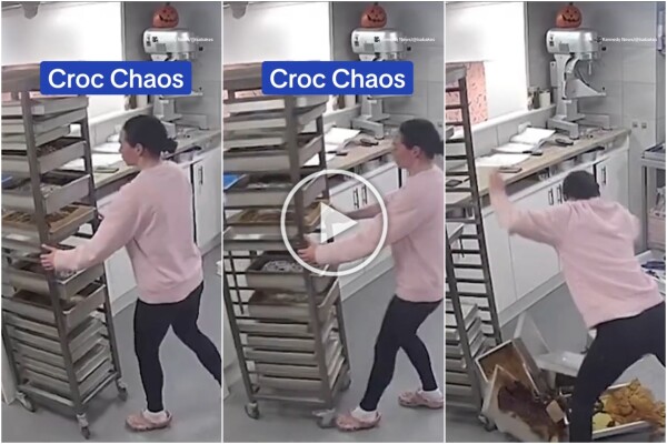 Ciabatta Crocs distrugge una giornata di lavoro il disastro della pasticcera