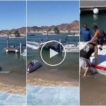 Una pareja de ancianos pierde el control de su lancha: el accidente se vuelve viral