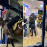 Cowboy a cavallo al fast food i camerieri li buttano fuori