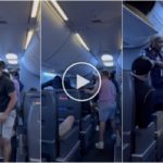 Frau wird während des Fluges von ihrem Partner geschlagen, Passagiere rebellieren und retten sie