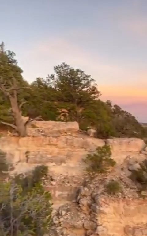 Ils font du yoga au bord du Grand Canyon, des touristes irresponsables critiqués sur les réseaux sociaux