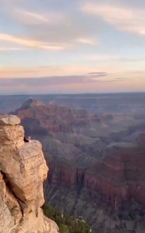 Fanno yoga sul precipizio del Grand Canyon, turisti irresponsabili criticati sui social